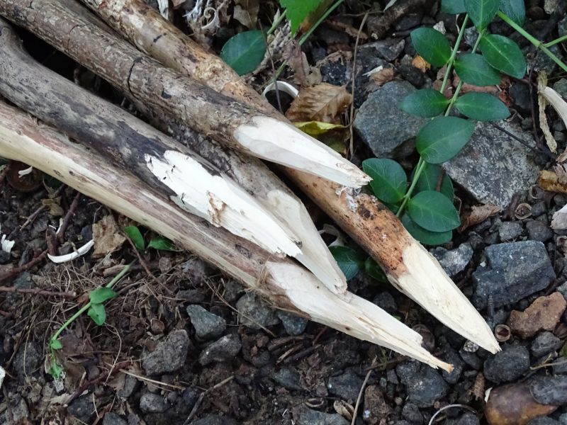 Detail zašpičatělých klůcků dokazuje, že použití nože ve filmu bylo reálné.