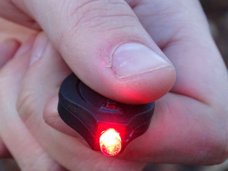 Na tomto obrázku získáte ještě lepší představu o její reálné velikosti.