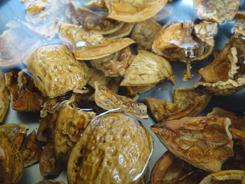 Na přípravu čaje necháme skořápky přibližně z 15 ořechů louhovat přes noc v asi půl litru vody.