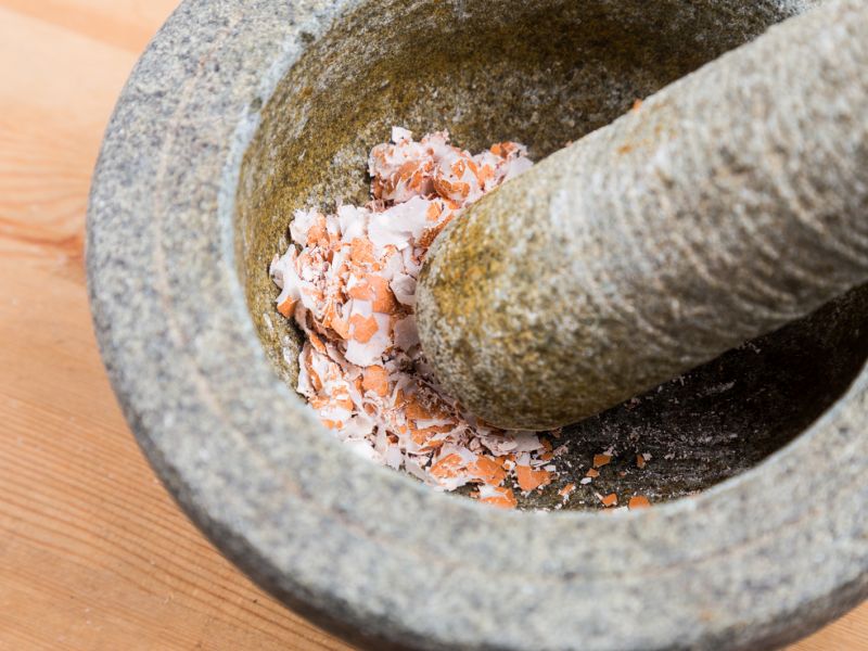 Vyčištěné a „pražené“ skořápky musíme pak ještě dobře podrtit. Hodí se na to například mixér anebo starej dobrej moždíř. S moždířem musíte sami pohnout kostrou, ale zase nepotřebujete zásuvku.