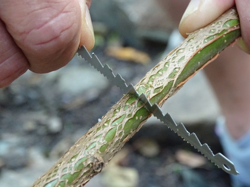 Pilky fungují, jak s drobnými zuby, tak i s velkými. Drobné se hodí na přesnou a jemnou práci, například na naříznutí větve pro umístění hrotu. Velké zoubky jsou zase vhodnější pro samotné uříznutí či zakrácení větve.