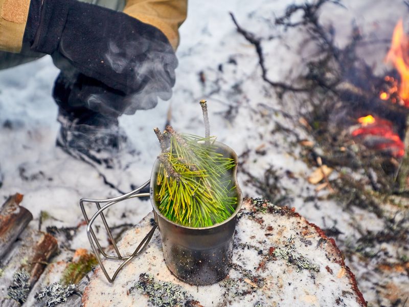 Nezbytné bude také umění přípravy potravy, rozdělání ohně či získání vody. Trpělivost, houževnatost, odolnost ale i pracovitost, to budou vlastnosti, kterých bude třeba.