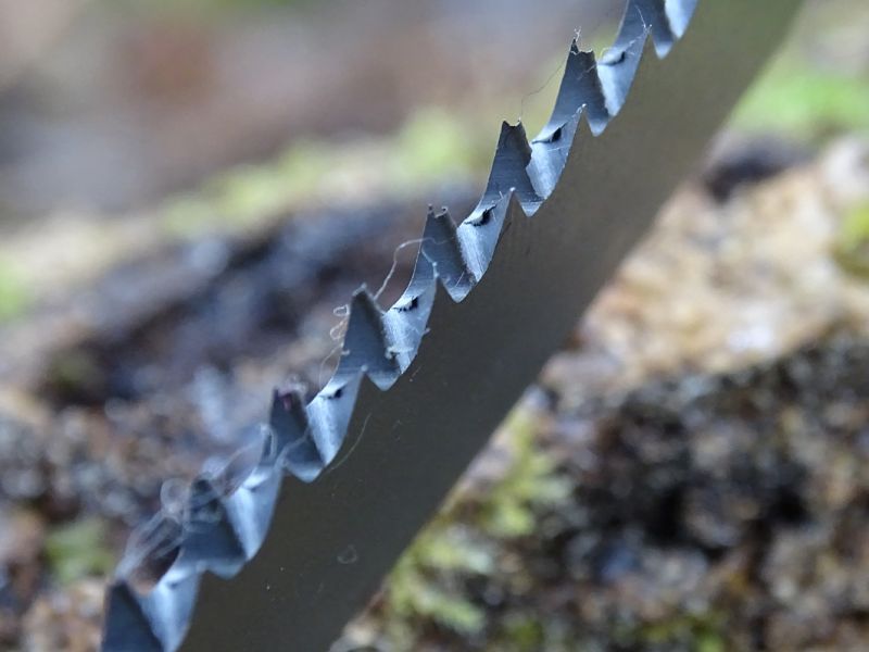 Pilka je tvořena dvěmi řadami ostrých zubů a velmi účinně si poradí jak s větví u stromu, tak i s kostí ulovené zvěře.