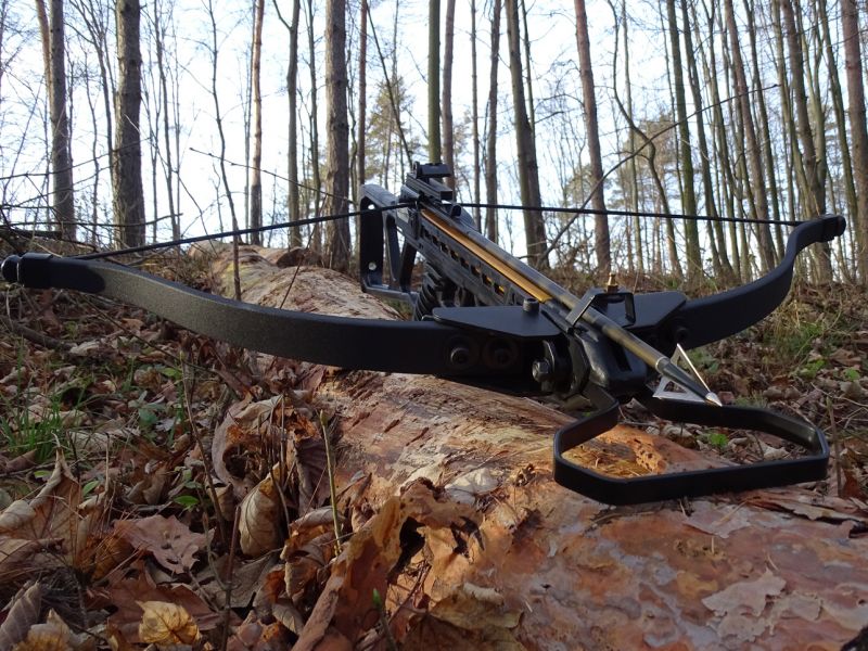 Skeleton je poměrně kvalitní kuše na občasné sportovní střílení a lov. Tělo kuše je polymerové, ale tětiva se pohybuje po hladké a eloxované duralové drážce. To kuši jednak zajišťuje vyšší přesnost, ale také vyšší počáteční rychlost šípové střely.