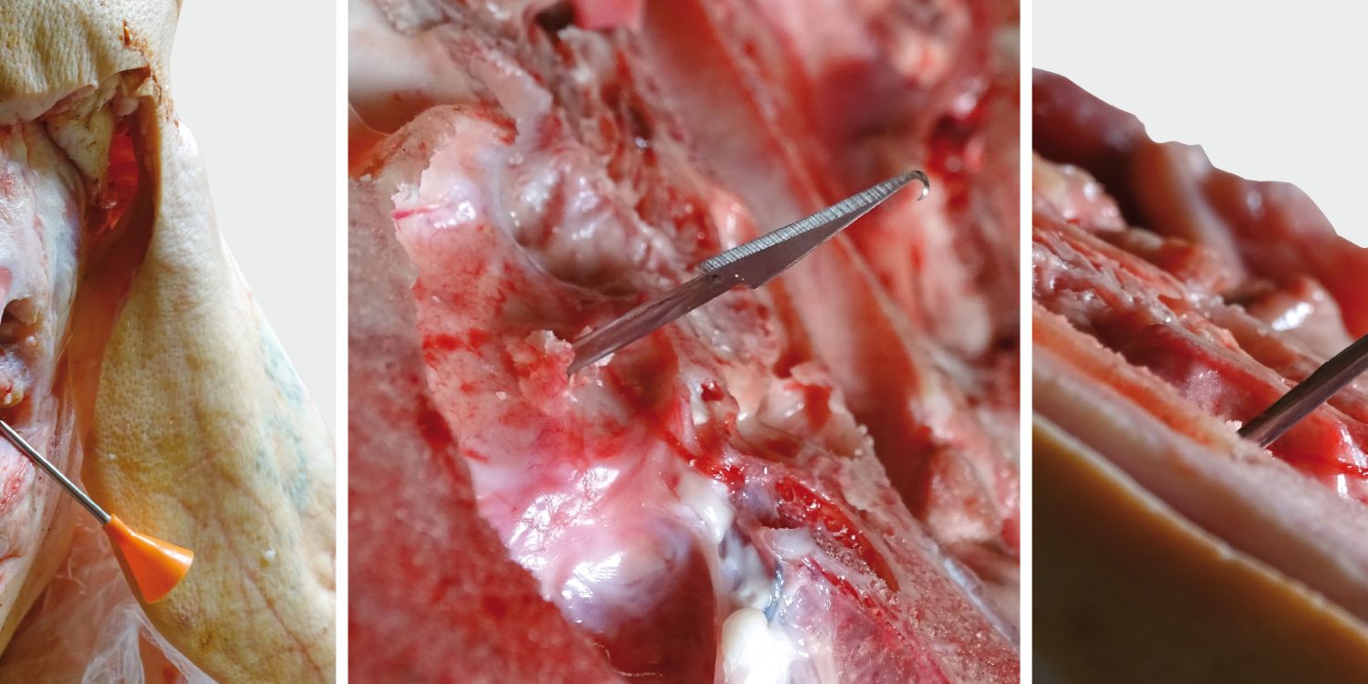 BLOWGUN část 2 překvapivě účinná