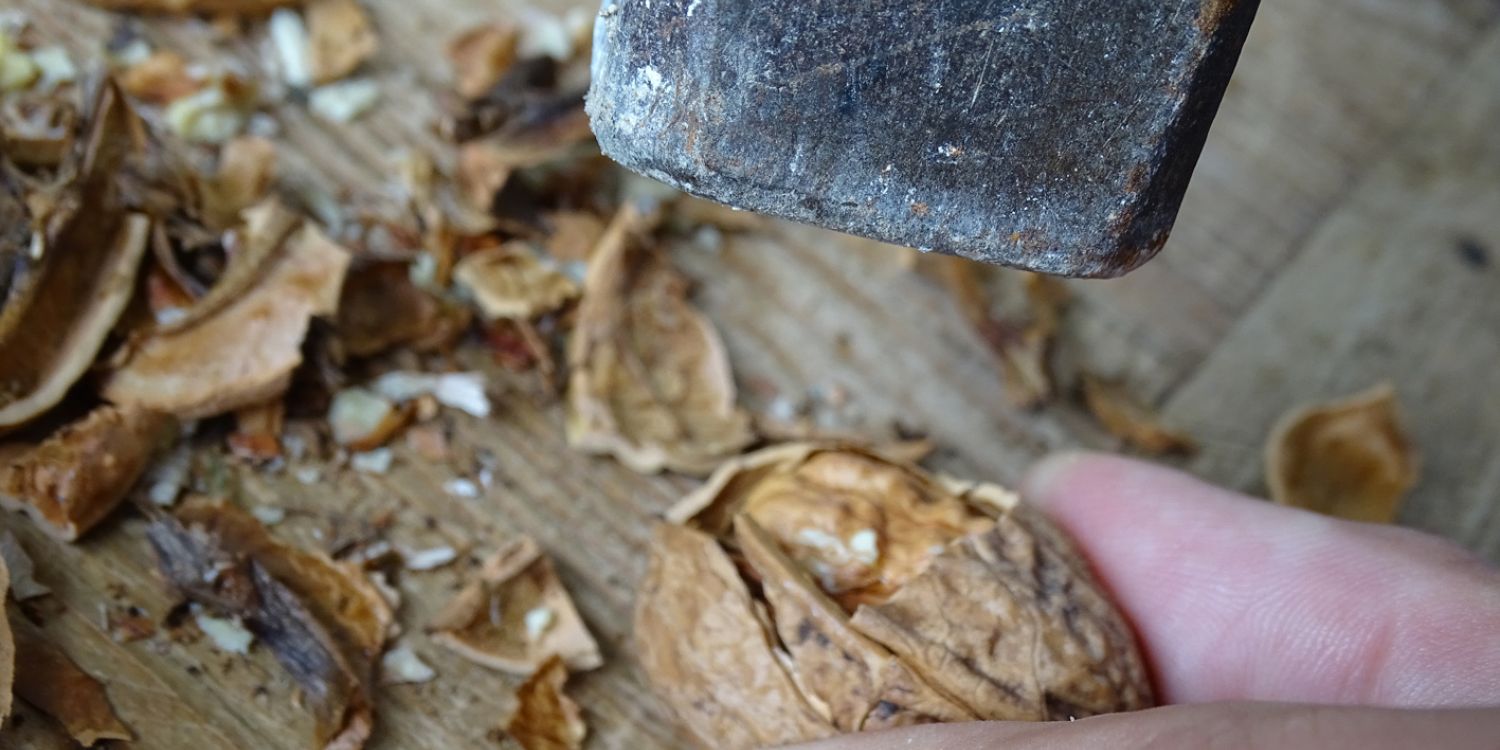 ČAJ Z OŘECHOVÝCH SKOŘÁPEK